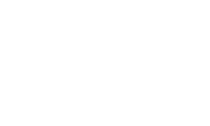 Logo Dagmar Kirchner Consulting weiss quer